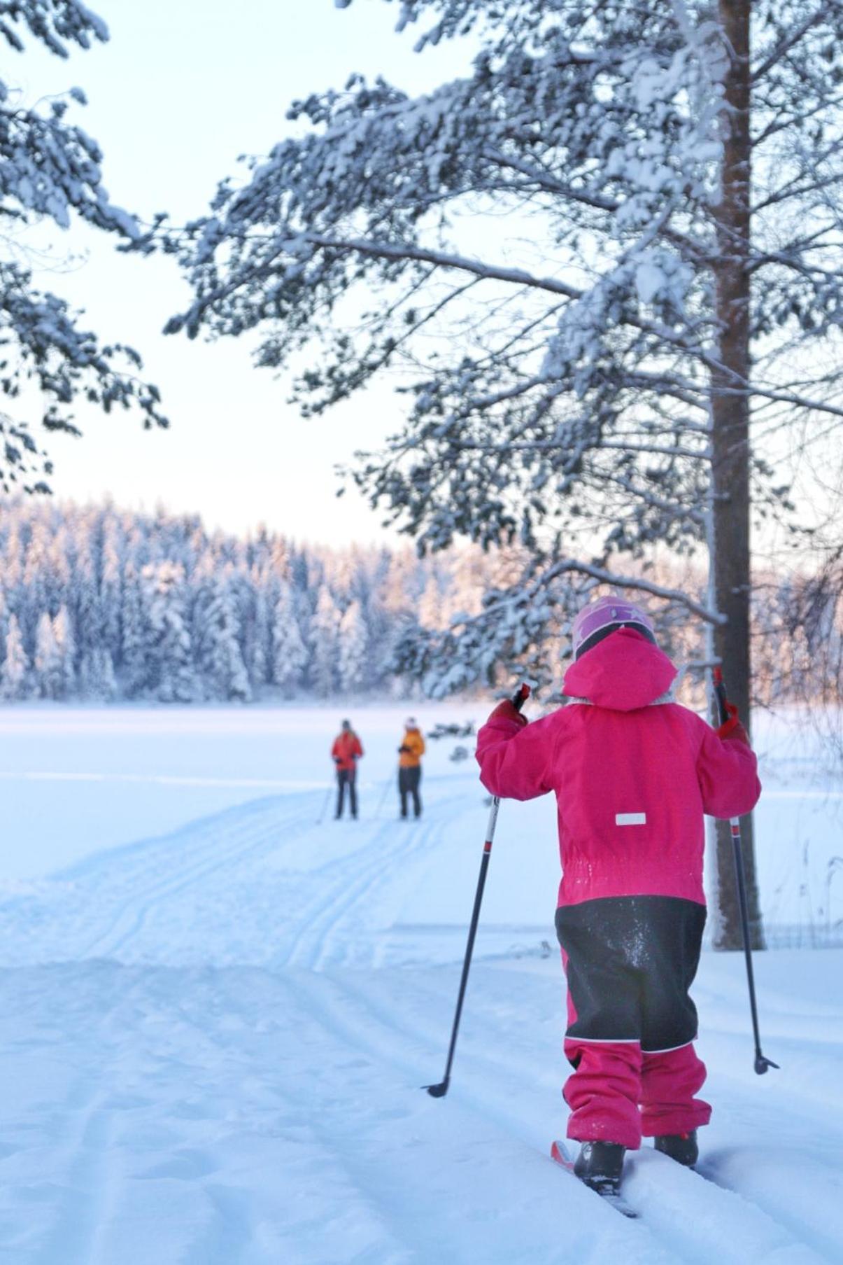 Guesthouse Koli Freetime Ahmovaara Buitenkant foto