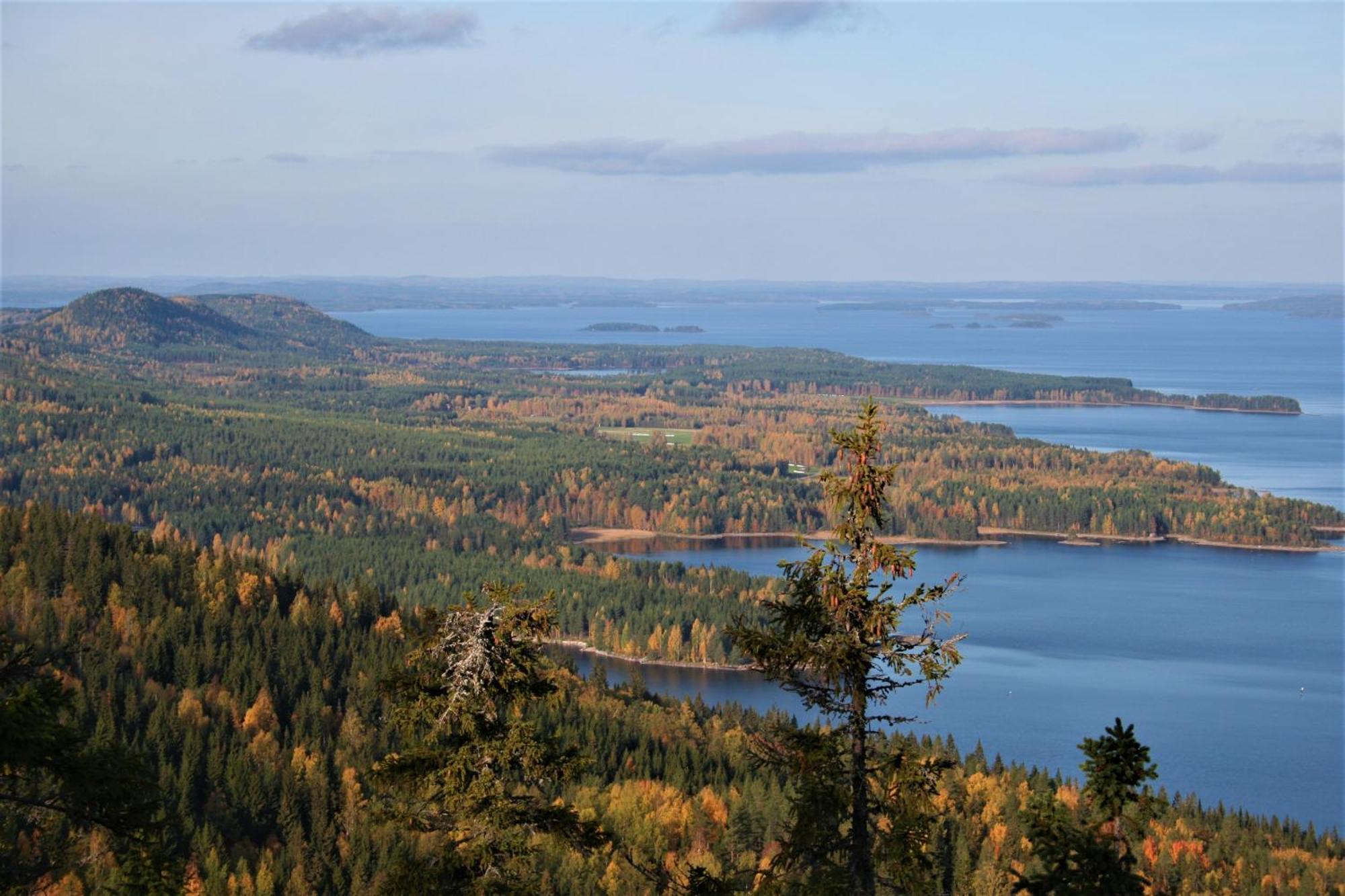Guesthouse Koli Freetime Ahmovaara Buitenkant foto