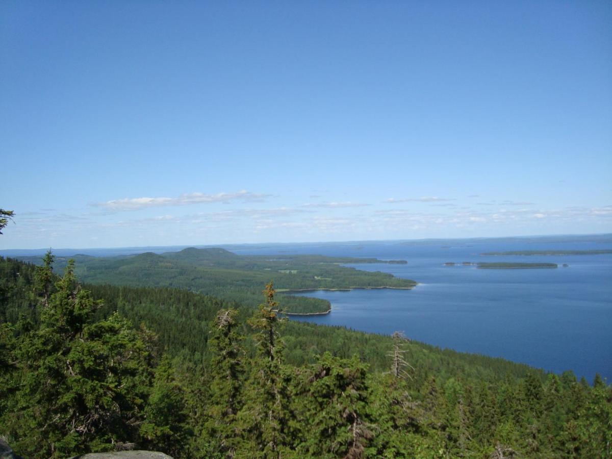 Guesthouse Koli Freetime Ahmovaara Buitenkant foto